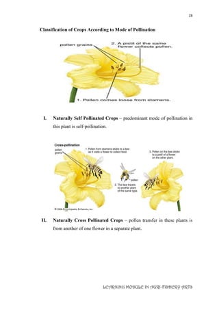 28
LEARNING MODULE IN AGRI-FISHERY ARTS
Classification of Crops According to Mode of Pollination
I. Naturally Self Pollinated Crops – predominant mode of pollination in
this plant is self-pollination.
II. Naturally Cross Pollinated Crops – pollen transfer in these plants is
from another of one flower in a separate plant.
 
