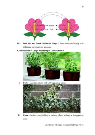29
LEARNING MODULE IN AGRI-FISHERY ARTS
III. Both Self and Cross Pollination Crops – these plants are largely self-
pollinated but in varying amounts.
Classifications of Crops According to Growth Habits
I. Herb – succulent plants with self-supporting stems.
II. Vines – herbaceous climbing or twining plants without self-supporting
stem.
 