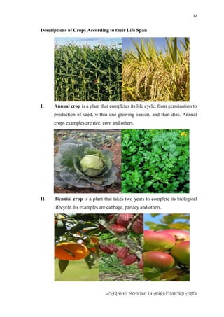 32
LEARNING MODULE IN AGRI-FISHERY ARTS
Descriptions of Crops According to their Life Span
I. Annual crop is a plant that completes its life cycle, from germination to
production of seed, within one growing season, and then dies. Annual
crops examples are rice, corn and others.
II. Biennial crop is a plant that takes two years to complete its biological
lifecycle. Its examples are cabbage, parsley and others.
 