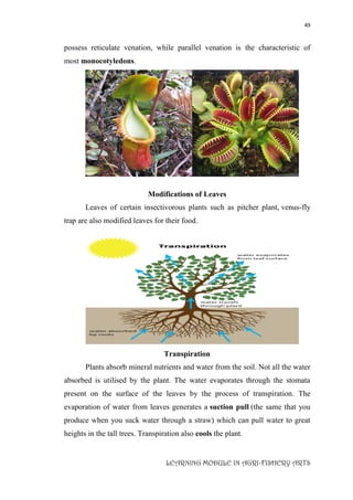 49
LEARNING MODULE IN AGRI-FISHERY ARTS
possess reticulate venation, while parallel venation is the characteristic of
most monocotyledons.
Modifications of Leaves
Leaves of certain insectivorous plants such as pitcher plant, venus-fly
trap are also modified leaves for their food.
Transpiration
Plants absorb mineral nutrients and water from the soil. Not all the water
absorbed is utilised by the plant. The water evaporates through the stomata
present on the surface of the leaves by the process of transpiration. The
evaporation of water from leaves generates a suction pull (the same that you
produce when you suck water through a straw) which can pull water to great
heights in the tall trees. Transpiration also cools the plant.
 