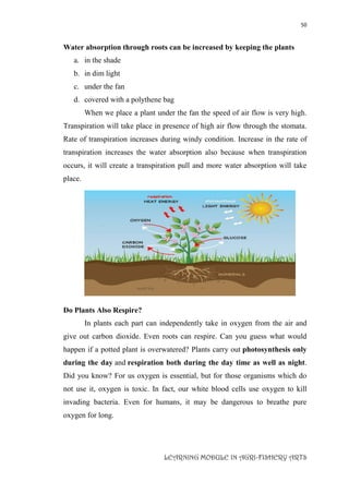 50
LEARNING MODULE IN AGRI-FISHERY ARTS
Water absorption through roots can be increased by keeping the plants
a. in the shade
b. in dim light
c. under the fan
d. covered with a polythene bag
When we place a plant under the fan the speed of air flow is very high.
Transpiration will take place in presence of high air flow through the stomata.
Rate of transpiration increases during windy condition. Increase in the rate of
transpiration increases the water absorption also because when transpiration
occurs, it will create a transpiration pull and more water absorption will take
place.
Do Plants Also Respire?
In plants each part can independently take in oxygen from the air and
give out carbon dioxide. Even roots can respire. Can you guess what would
happen if a potted plant is overwatered? Plants carry out photosynthesis only
during the day and respiration both during the day time as well as night.
Did you know? For us oxygen is essential, but for those organisms which do
not use it, oxygen is toxic. In fact, our white blood cells use oxygen to kill
invading bacteria. Even for humans, it may be dangerous to breathe pure
oxygen for long.
 