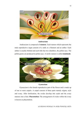 52
LEARNING MODULE IN AGRI-FISHERY ARTS
Androecium
Androecium is composed of stamens. Each stamen which represents the
male reproductive organ consists of a stalk or a filament and an anther. Each
anther is usually bilobed and each lobe has two chambers, the pollen-sacs. The
pollen grains are produced in pollen-sacs. A sterile stamen is called staminode.
Gynoecium
Gynoecium is the female reproductive part of the flower and is made up
of one or more carpels. A carpel consists of three parts namely stigma, style
and ovary. After fertilization, the ovules develop into seeds and the ovary
matures into a fruit. Placentation: The arrangement of ovules within the ovary
is known as placentation.
 