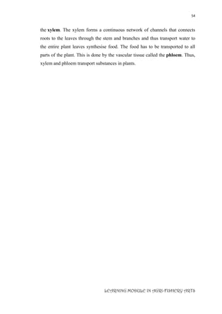 54
LEARNING MODULE IN AGRI-FISHERY ARTS
the xylem. The xylem forms a continuous network of channels that connects
roots to the leaves through the stem and branches and thus transport water to
the entire plant leaves synthesise food. The food has to be transported to all
parts of the plant. This is done by the vascular tissue called the phloem. Thus,
xylem and phloem transport substances in plants.
 