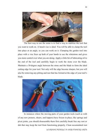 83
LEARNING MODULE IN AGRI-FISHERY ARTS
The best way to use the stone is to find a way to stabilize the tool that
you want to work on. A bench vise is ideal. You will be able to clamp the tool
into place at an angle, so you can work on it. Clamping the garden tool into
place with a vise frees up both of your hands to use the whetstone and gives
you more control over what you are doing. Apply a little bit of lubricating oil to
the end of the tool and carefully begin to work the stone over the blade.
Maintain a 30-degree angle between the stone and the blade to form the ideal
cutting edge for your tool. Not only will the edge become sharper, but you will
also be removing any pitting and rust that has formed at the edge of your tool‘s
blade.
In instances where the moving parts of your garden tools (such as with
of any new pruners, shears, and loppers) have frozen in place, like springs and
pivot joints, you should disassemble them first carefully break free any rust or
dirt that may keep the tool from functioning properly. Clean accumulated rust
 