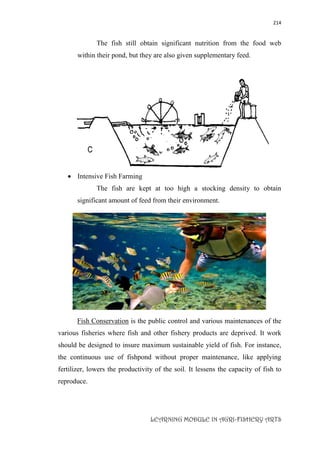 LEARNING_MODULE_IN_AGRI_FISHERY_ARTS_AGR.pdf