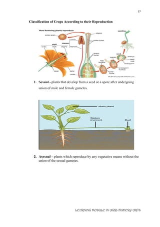 27
LEARNING MODULE IN AGRI-FISHERY ARTS
Classification of Crops According to their Reproduction
1. Sexual - plants that develop from a seed or a spore after undergoing
union of male and female gametes.
2. Asexual – plants which reproduce by any vegetative means without the
union of the sexual gametes.
 