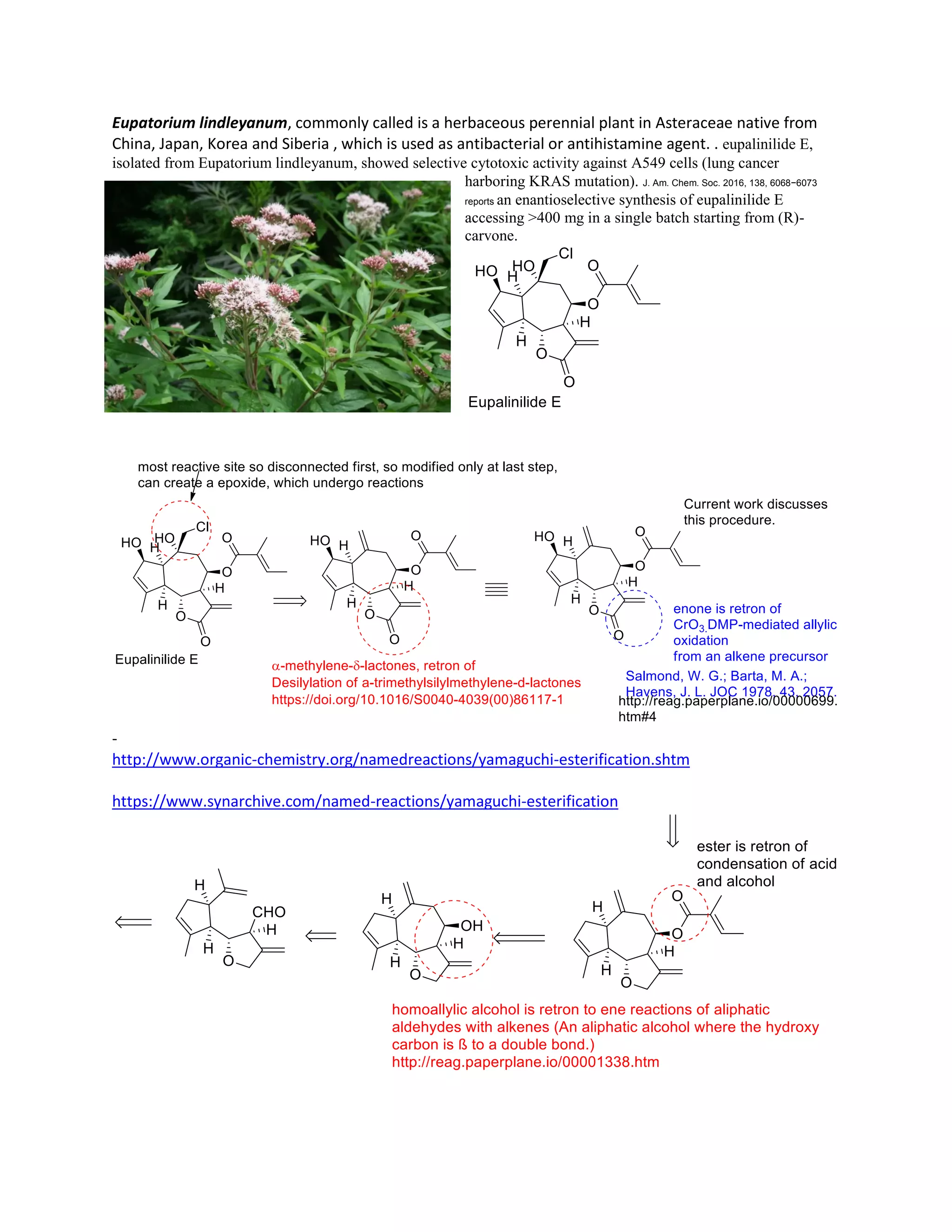 Eupatorium lindleyanum, commonly called is a herbaceous perennial plant in Asteraceae native from
China, Japan, Korea and Siberia , which is used as antibacterial or antihistamine agent. . eupalinilide E,
isolated from Eupatorium lindleyanum, showed selective cytotoxic activity against A549 cells (lung cancer
harboring KRAS mutation). J. Am. Chem. Soc. 2016, 138, 6068−6073
reports an enantioselective synthesis of eupalinilide E
accessing >400 mg in a single batch starting from (R)-
carvone.
-
http://www.organic-chemistry.org/namedreactions/yamaguchi-esterification.shtm
https://www.synarchive.com/named-reactions/yamaguchi-esterification
 