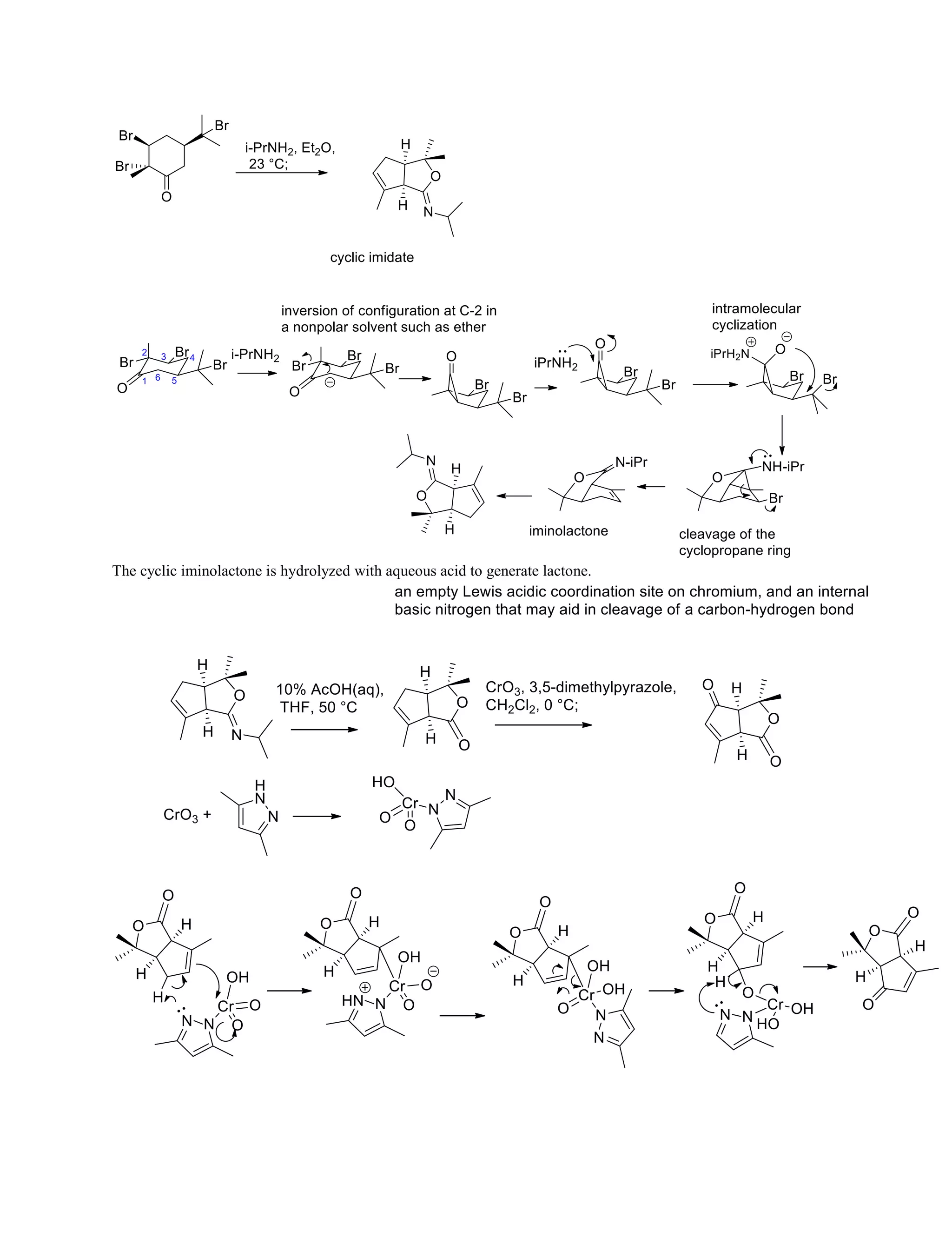 The cyclic iminolactone is hydrolyzed with aqueous acid to generate lactone.
 