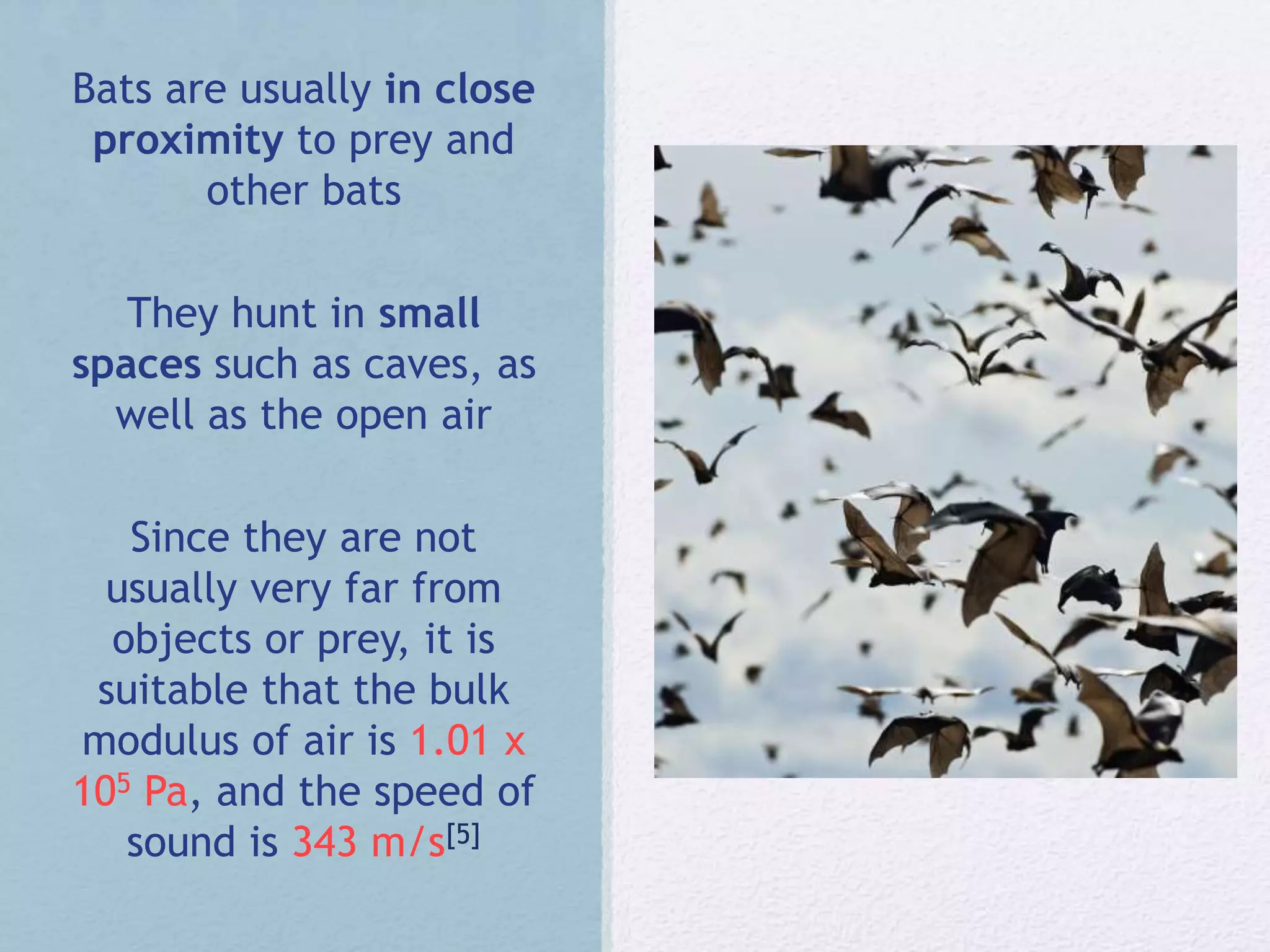 Bats are usually in close
proximity to prey and
other bats
They hunt in small
spaces such as caves, as
well as the open air
Since they are not
usually very far from
objects or prey, it is
suitable that the bulk
modulus of air is 1.01 x
105 Pa, and the speed of
sound is 343 m/s[5]
 