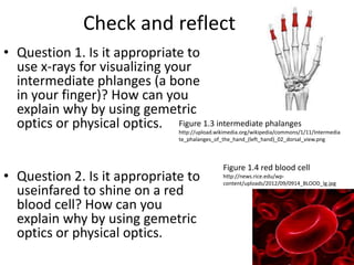 Check and reflect
• Question 1. Is it appropriate to
use x-rays for visualizing your
intermediate phlanges (a bone
in your finger)? How can you
explain why by using gemetric
optics or physical optics.
• Question 2. Is it appropriate to
useinfared to shine on a red
blood cell? How can you
explain why by using gemetric
optics or physical optics.
Figure 1.3 intermediate phalanges
http://upload.wikimedia.org/wikipedia/commons/1/11/Intermedia
te_phalanges_of_the_hand_(left_hand)_02_dorsal_view.png
Figure 1.4 red blood cell
http://news.rice.edu/wp-
content/uploads/2012/09/0914_BLOOD_lg.jpg
 
