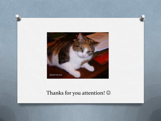 Thanks for you attention! 
 