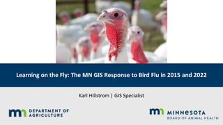 Learning on the Fly: The MN GIS Response to Bird Flu in 2015 and 2022
Karl Hillstrom | GIS Specialist
 
