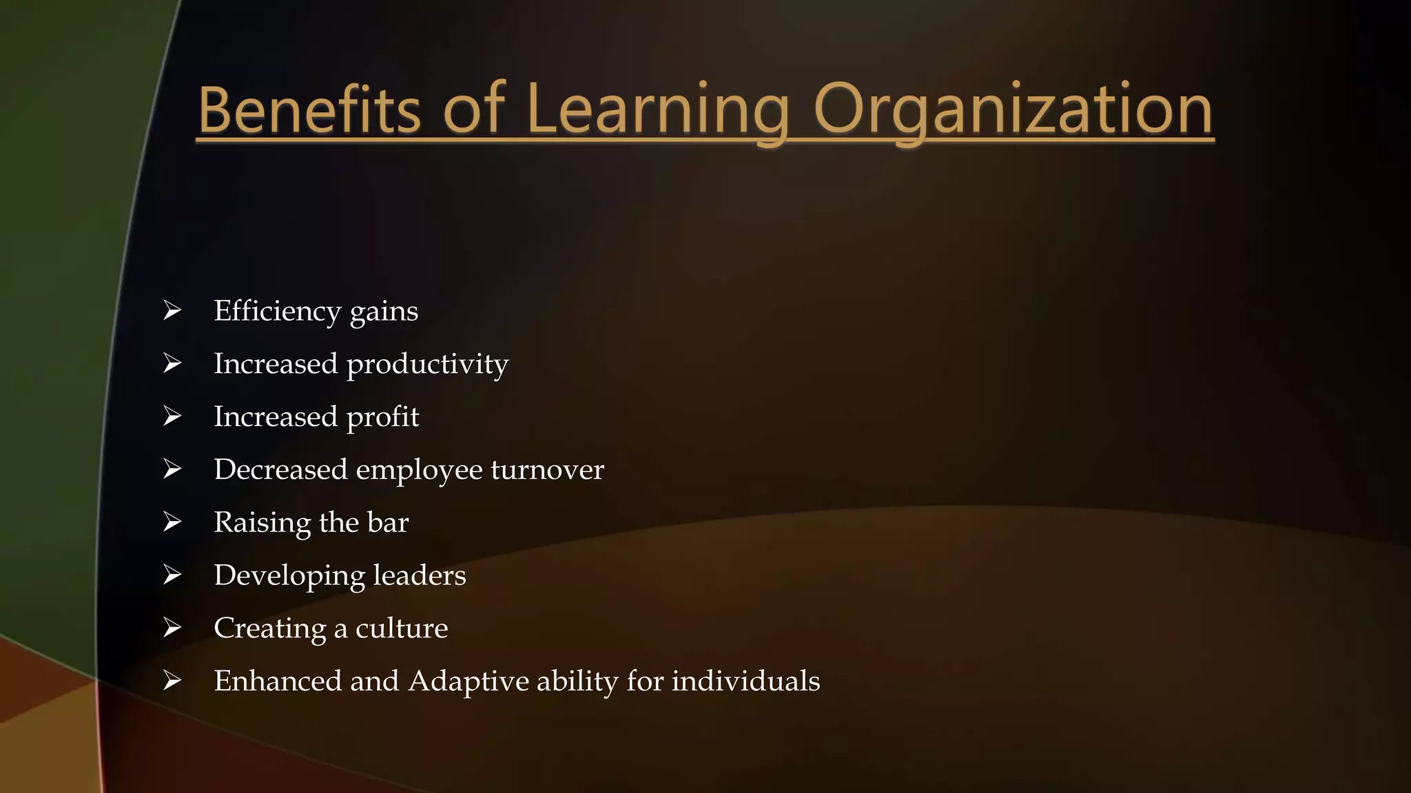 Efficiency gains
 Increased productivity
 Increased profit
 Decreased employee turnover
 Raising the bar
 Developing leaders
 Creating a culture
 Enhanced and Adaptive ability for individuals
 