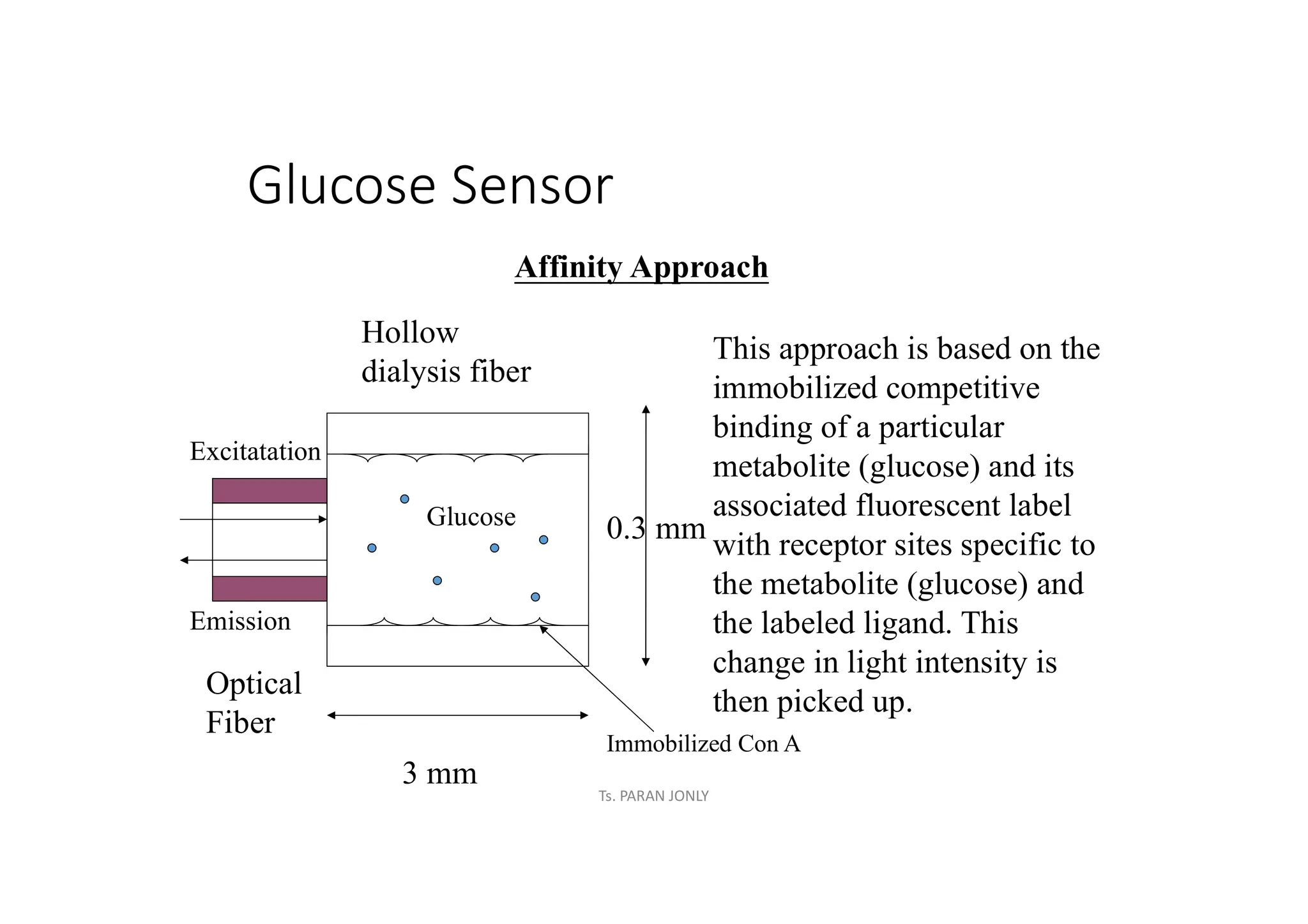 Glucose Sensor
Affinity Approach
This approach is based on the
immobilized competitive
binding of a particular
metabolite (glucose) and its
associated fluorescent label
with receptor sites specific to
the metabolite (glucose) and
the labeled ligand. This
change in light intensity is
then picked up.
3 mm
0.3 mm
Hollow
dialysis fiber
Immobilized Con A
Excitatation
Emission
Optical
Fiber
Glucose
Ts. PARAN JONLY
 