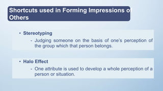Learning, Perception and Attribution | PPTX | Education
