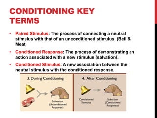 CONDITIONING KEY
TERMS
• Paired Stimulus: The process of connecting a neutral
stimulus with that of an unconditioned stimulus. (Bell &
Meat)
• Conditioned Response: The process of demonstrating an
action associated with a new stimulus (salvation).
• Conditioned Stimulus: A new association between the
neutral stimulus with the conditioned response.
 