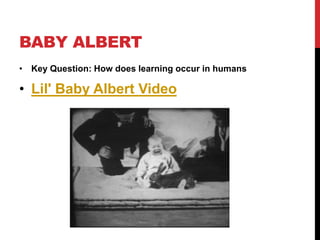 BABY ALBERT
• Key Question: How does learning occur in humans
• Lil' Baby Albert Video
 