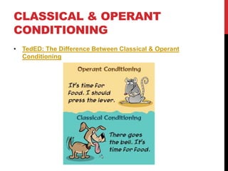 CLASSICAL & OPERANT
CONDITIONING
• TedED: The Difference Between Classical & Operant
Conditioning
 