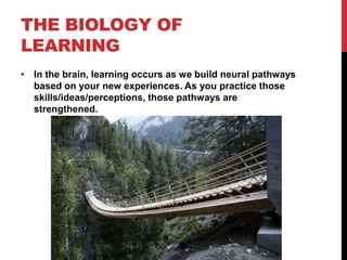 THE BIOLOGY OF
LEARNING
• In the brain, learning occurs as we build neural pathways
based on your new experiences. As you practice those
skills/ideas/perceptions, those pathways are
strengthened.
 