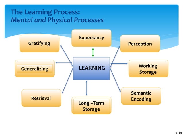 Learning Theories and Program Design | PPT
