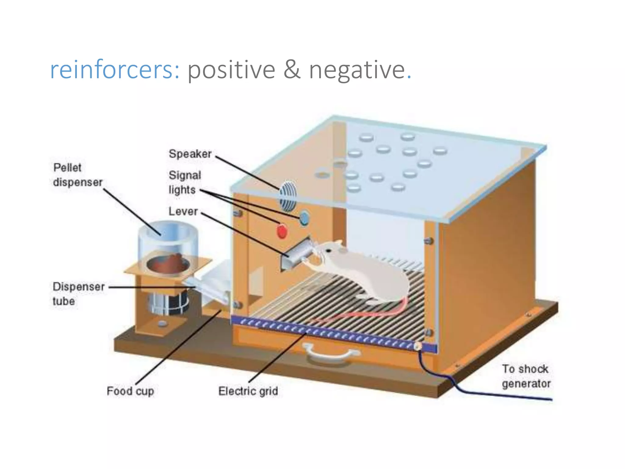 reinforcers: positive & negative. 
positive reinforcer: 
• presented after target response. 
• increase the ability the response 
will occur again. 
negative reinforcer: 
• removed after target response. 
• increase the likelihood that the 
response will occur again. 
 