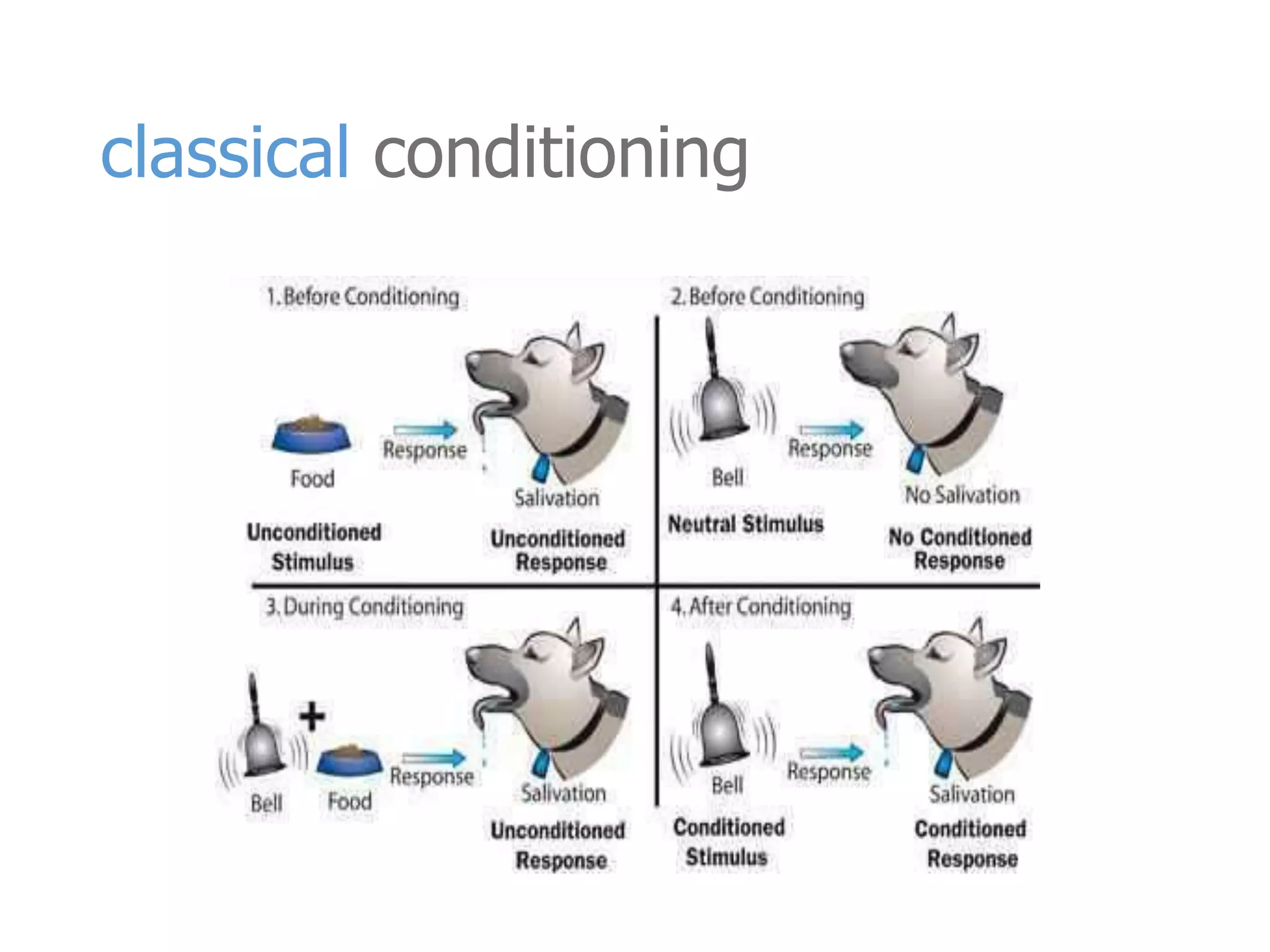 classical conditioning 
 