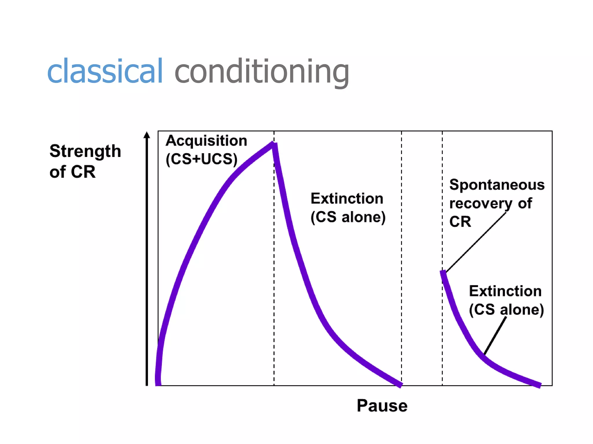 classical conditioning 
 