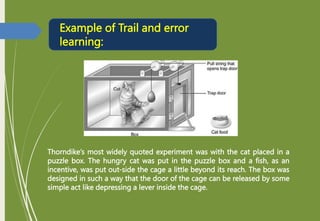 Example of Trail and error
learning:
Thorndike’s most widely quoted experiment was with the cat placed in a
puzzle box. The hungry cat was put in the puzzle box and a fish, as an
incentive, was put out-side the cage a little beyond its reach. The box was
designed in such a way that the door of the cage can be released by some
simple act like depressing a lever inside the cage.
 