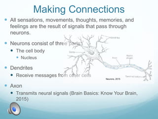 Making Connections
 All sensations, movements, thoughts, memories, and
feelings are the result of signals that pass through
neurons.
 Neurons consist of three parts:
 The cell body
 Nucleus
 Dendrites
 Receive messages from other cells
 Axon
 Transmits neural signals (Brain Basics: Know Your Brain,
2015)
Neurons, 2015
 
