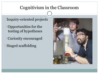 Cognitivism in the Classroom
Inquiry-oriented projects
Opportunities for the
testing of hypotheses
Curiosity encouraged
Staged scaffolding
 