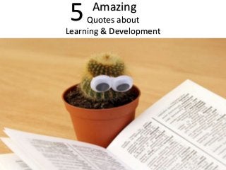 Amazing
Quotes about
Learning & Development
5
 