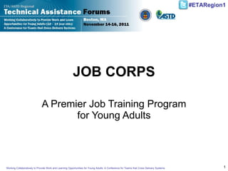JOB CORPS A Premier Job Training Program for Young Adults Working Collaboratively to Provide Work and Learning Opportunities for Young Adults: A Conference for Teams that Cross Delivery Systems 