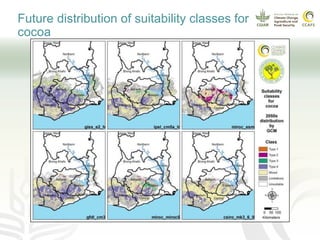 Potential learning sites for climate smart cocoa in Ghana
