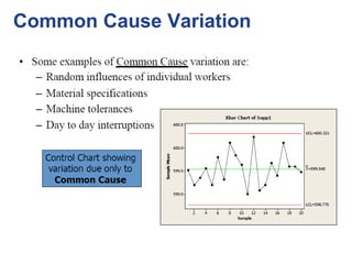 Common Cause Variation
 
