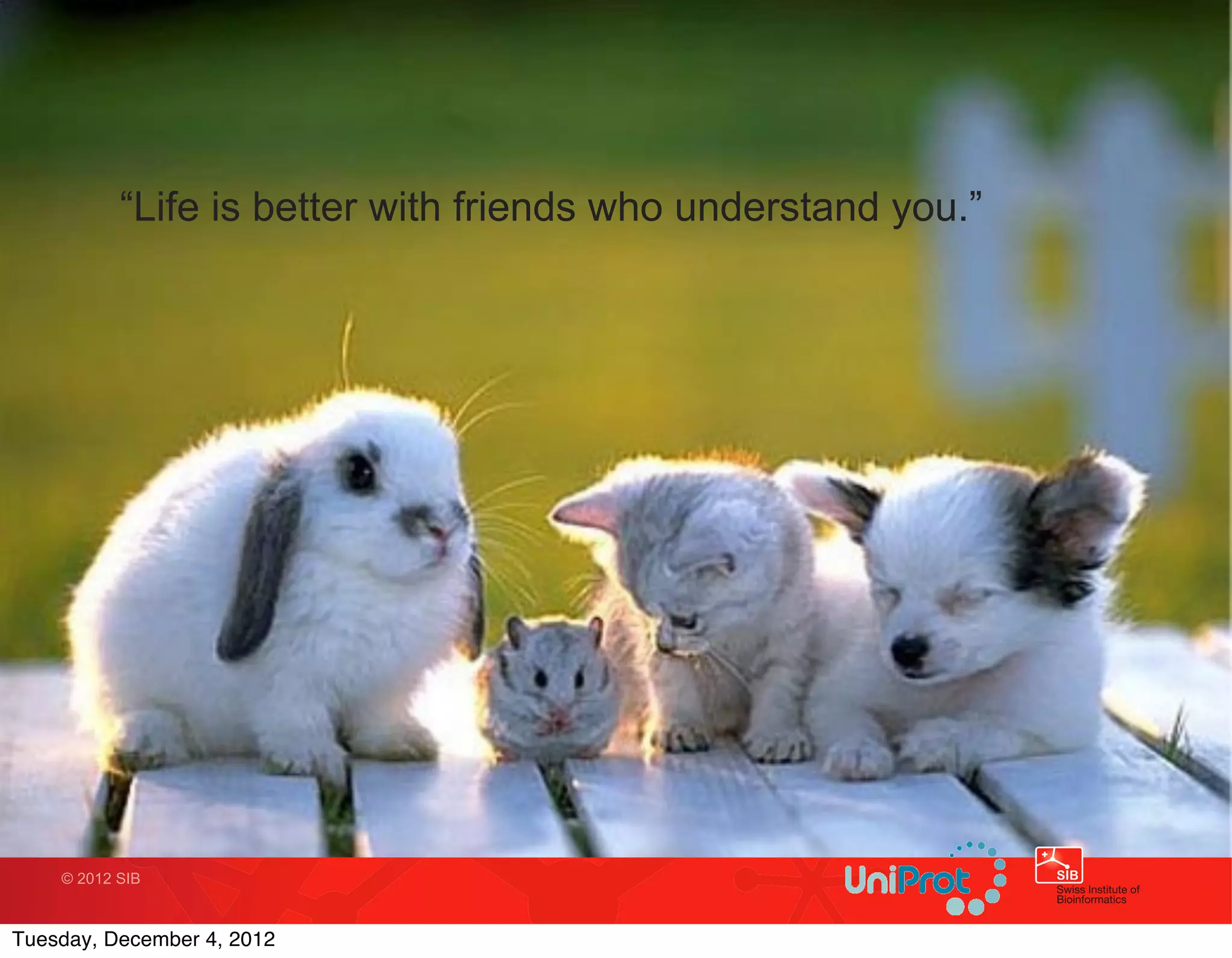 “Life is better with friends who understand you.”




    © 2012 SIB



Tuesday, December 4, 2012
 