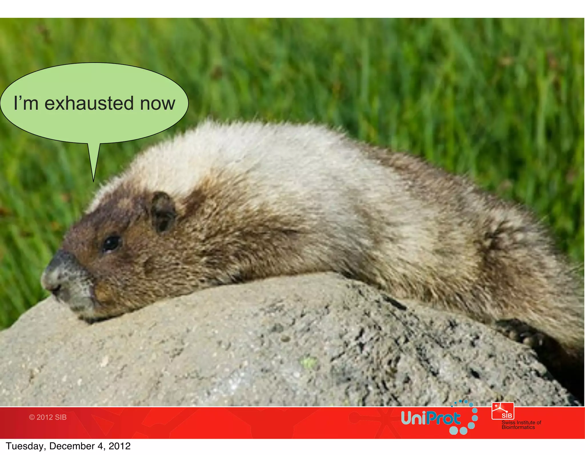 I’m exhausted now




    © 2012 SIB



Tuesday, December 4, 2012
 