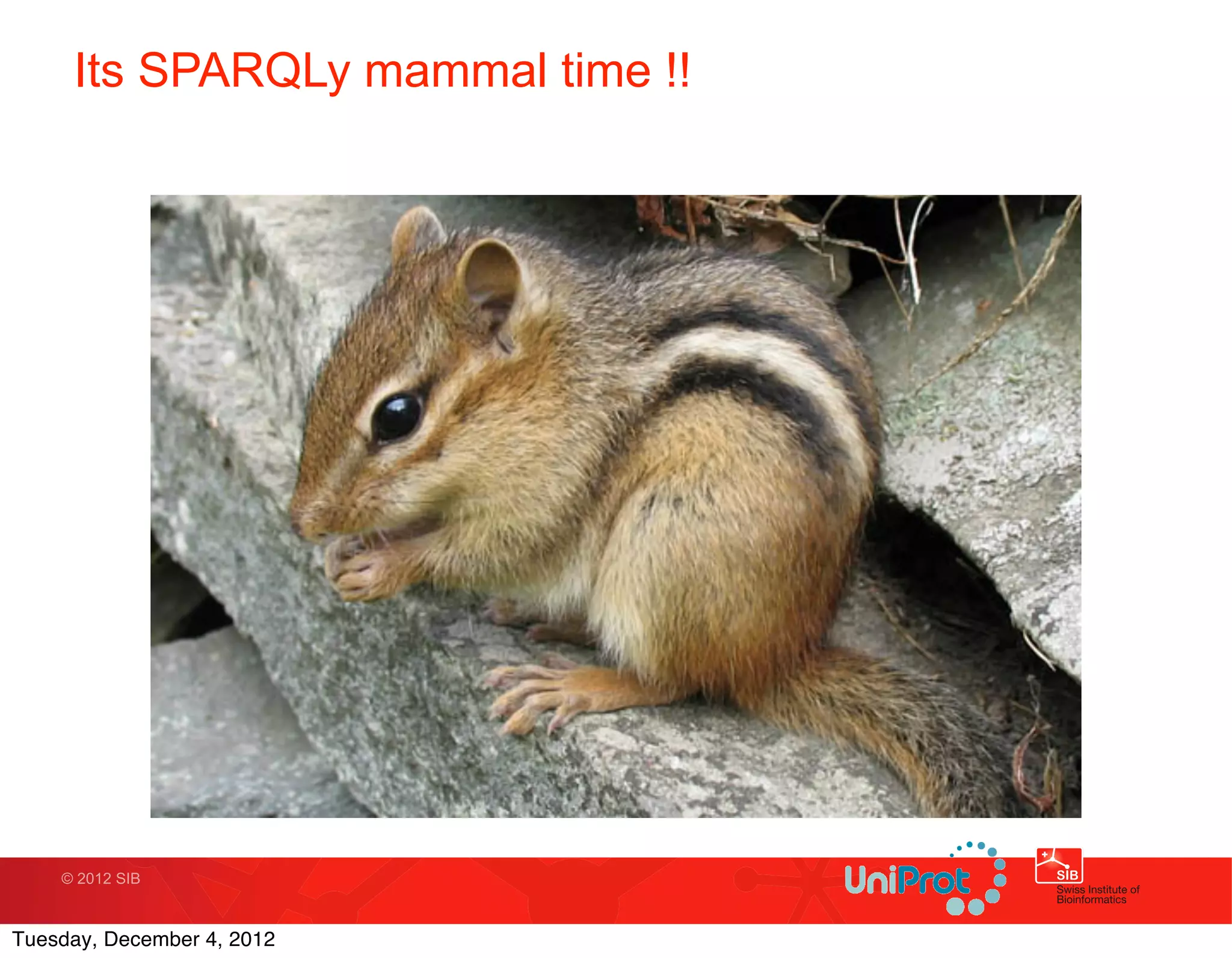 Its SPARQLy mammal time !!




    © 2012 SIB



Tuesday, December 4, 2012
 