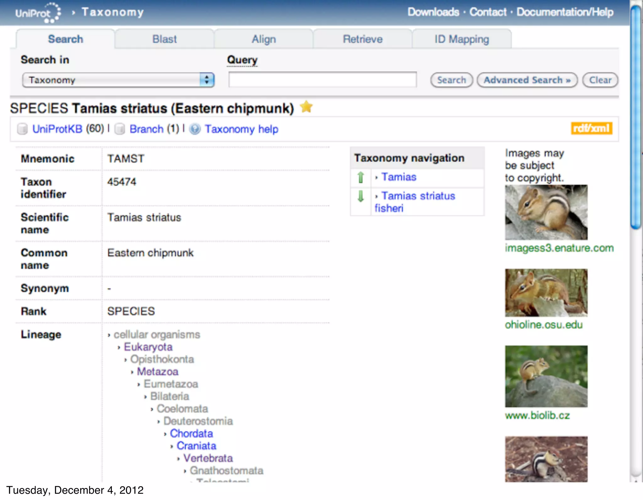 Lets look at an single taxon record




    © 2012 SIB



Tuesday, December 4, 2012
 