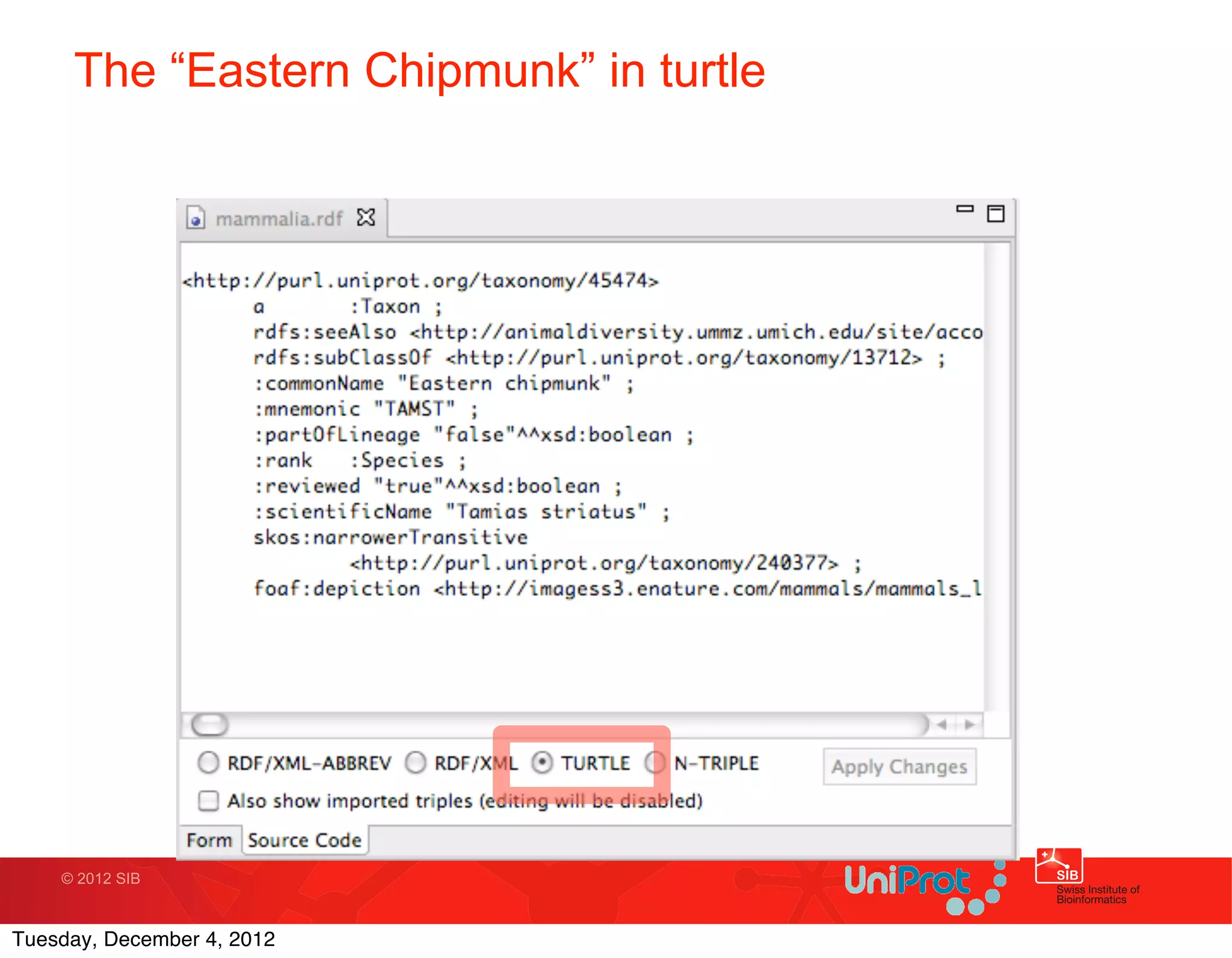 The “Eastern Chipmunk” in turtle




    © 2012 SIB



Tuesday, December 4, 2012
 