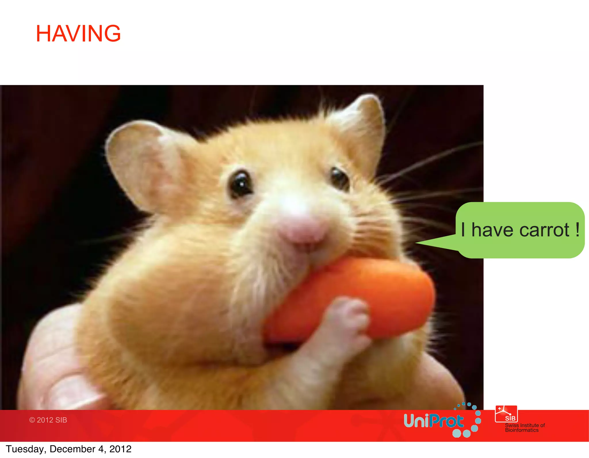 HAVING




                            I have carrot !




    © 2012 SIB



Tuesday, December 4, 2012
 