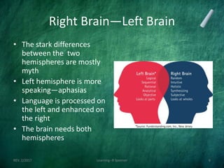Right Brain—Left Brain
• The stark differences
between the two
hemispheres are mostly
myth
• Left hemisphere is more
speaking—aphasias
• Language is processed on
the left and enhanced on
the right
• The brain needs both
hemispheres
REV. 2/2017 Learning--R Speener 6
 