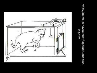 http://animalbehaviour.net/OperantCondition
                  ing.htm
 