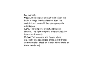 For example:
Visual. The occipital lobes at the back of the
brain manage the visual sense. Both the
occipital and parietal lobes manage spatial
orientation.
Aural. The temporal lobes handle aural
content. The right temporal lobe is especially
important for music.
Verbal. The temporal and frontal lobes,
especially two specialized areas called Broca’s
and Wernicke’s areas (in the left hemisphere of
these two lobes).
 