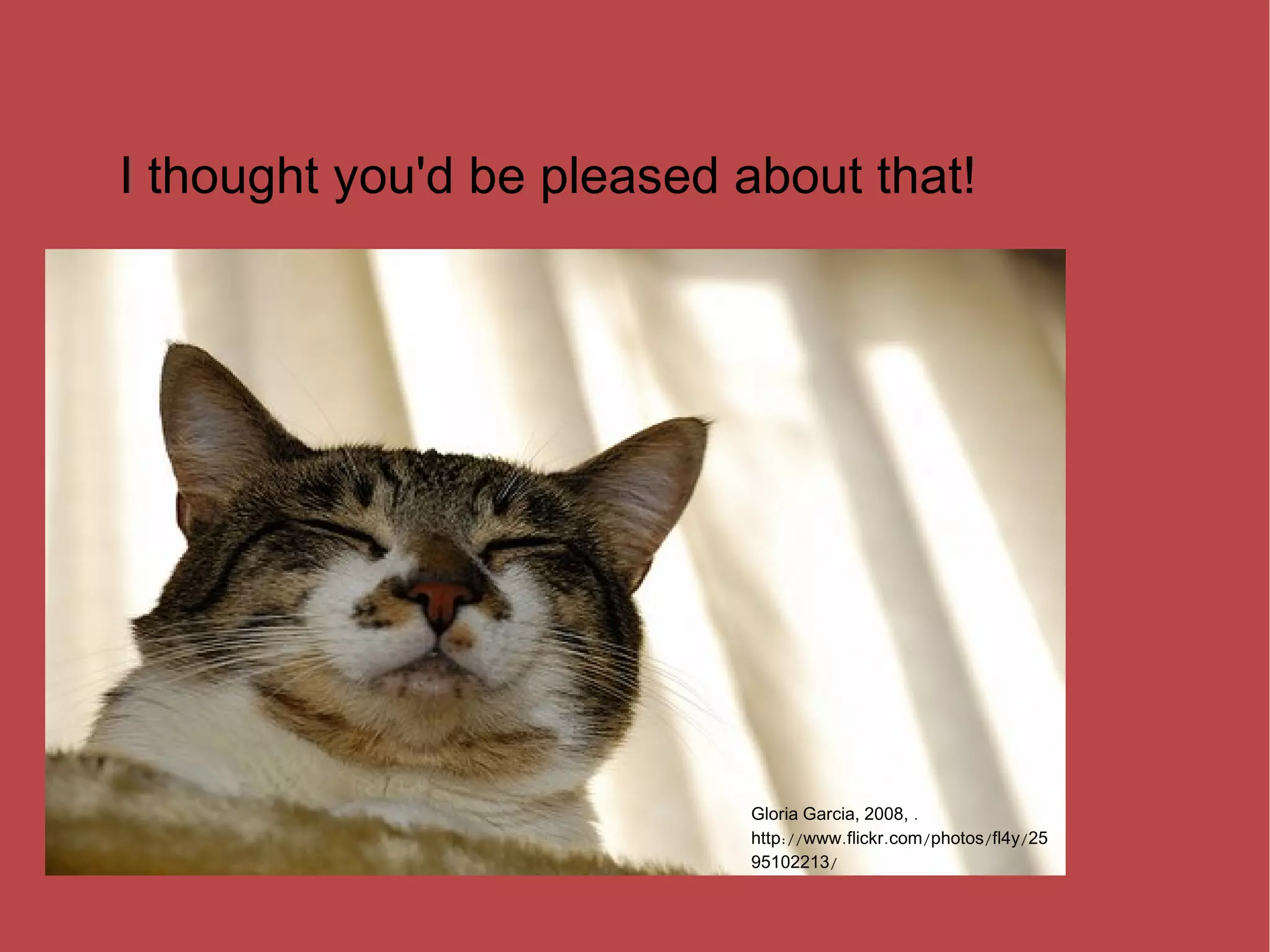 I thought you'd be pleased about that! Gloria Garcia, 2008, . http://www.flickr.com/photos/fl4y/2595102213/ 