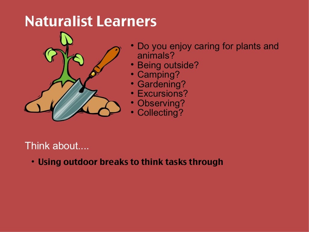 Learning style inventory ppt image