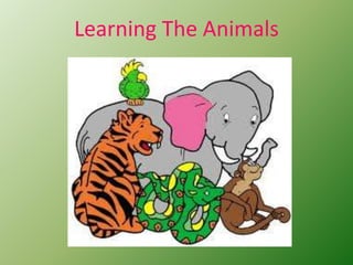 Learning The Animals 
 