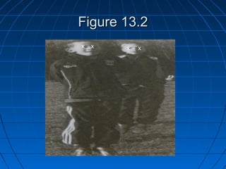 Figure 13.2Figure 13.2
x x x x
 