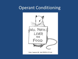 Operant Conditioning