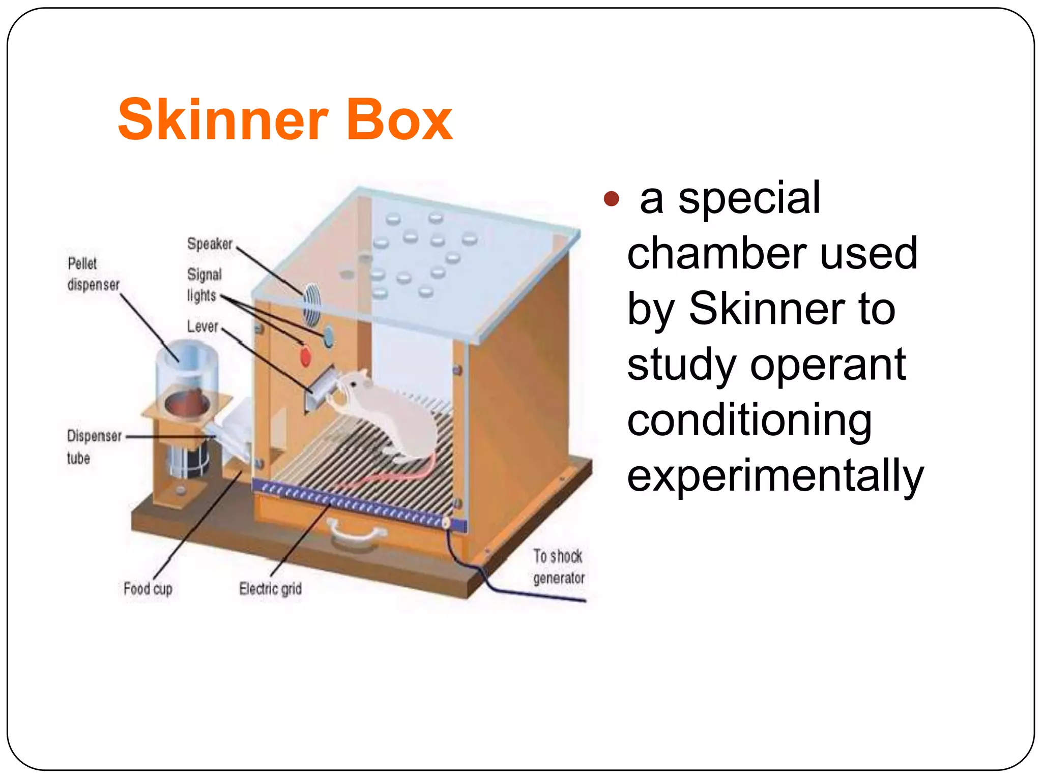 Skinner Box
 a special

chamber used
by Skinner to
study operant
conditioning
experimentally

 