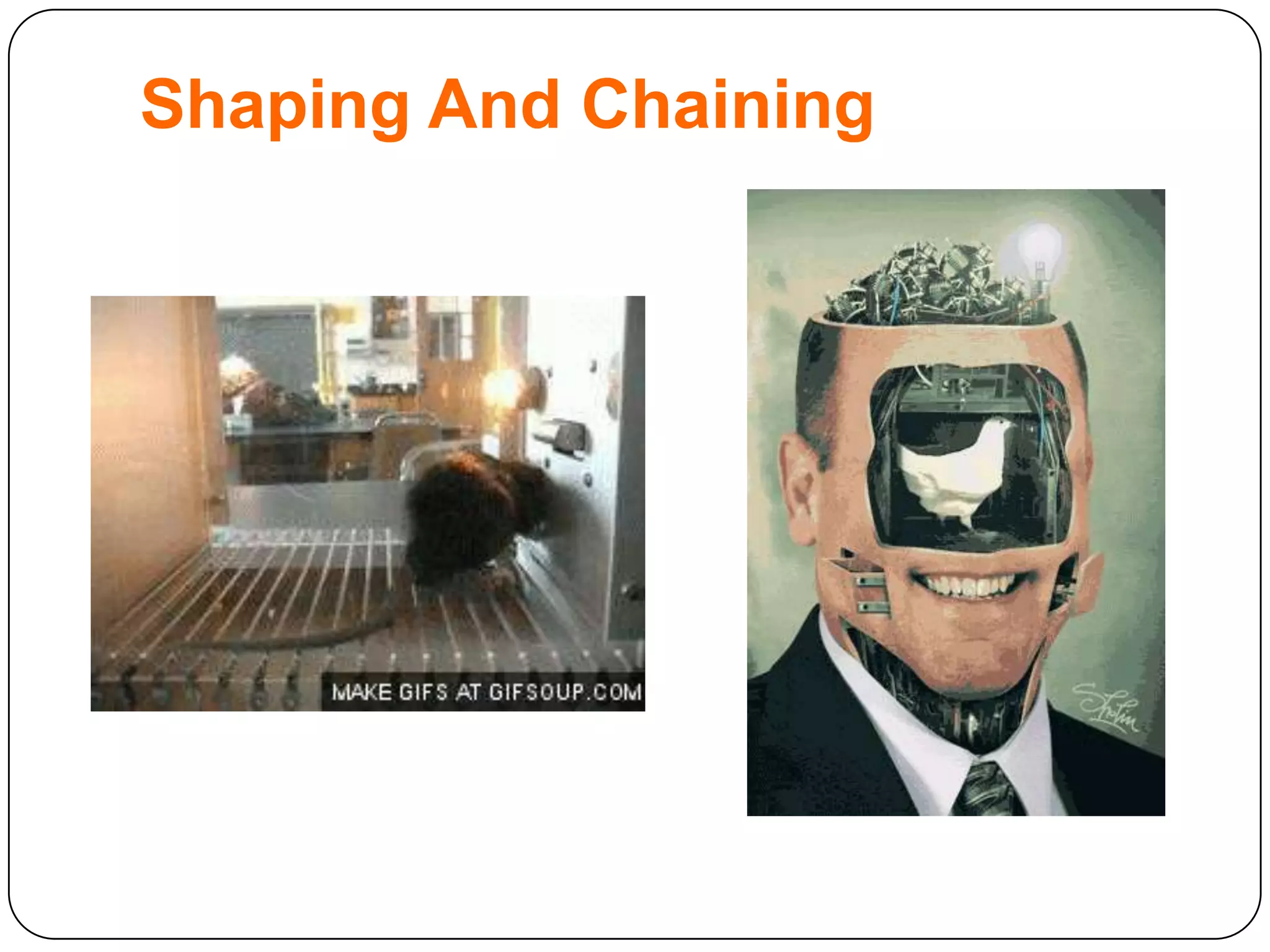 Shaping And Chaining

 